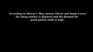 Drover's Way: An Ontario Sheep Farm