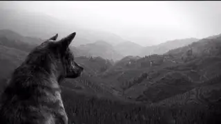 The Joy Formidable - Wolf's Law [Official Video]