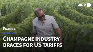 France's champagne makers warn of US tariffs impact | AFP
