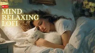 LIVE :  Desi Beats World | Calming lofi for chill vibes ✨| Sleep ,Chill , Focus , Relax