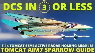 DCS Tomcat Sparrow - F14 AIM7 Sparrow Tutorial - DCS in 3 Or Less