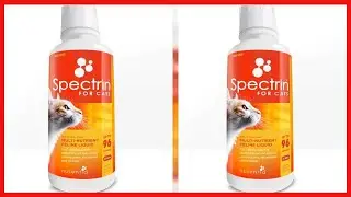 Cat Vitamins   Spectrin 16 OZ   Liquid Vitamin & Antioxidant Supplement for Cats   96 doses