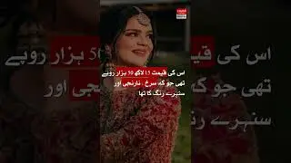 What was the price of Imam ul Haq bridal dress? | Hum News