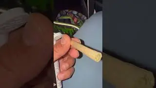 Hippy Crasher pre-roll💨 #hiphop #trending #shortvideo
