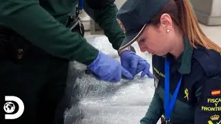 Una maleta repleta de cangrejos alerta a los agentes| Control de Fronteras: España