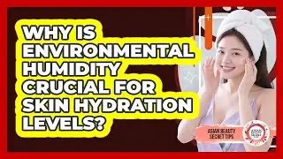 Why Is Environmental Humidity Crucial For Skin Hydration Levels? - Asian Beauty Secret Tips