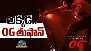 OG Boxoffice Collection  | Pawan Kalyan | Sujeeth || NTVENT