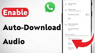 How To Enable Auto-Download Audio On WhatsApp (Updated)