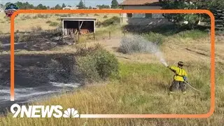 Bird gets electrocuted on power line, sparks fire
