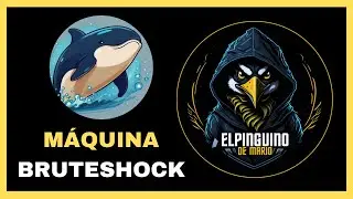 Máquina BruteShock DockerLabs | Hacking Ético y Ciberseguridad  (PinguDirecto #174)