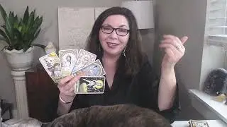 TAURUS  JUNE 2023 Tarot Reading with Stella Wilde