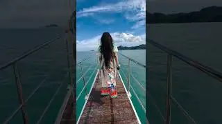 Feel the Love ❤️| Best Romantic Songs| Bollywood Shorts|Most Romantic Bollywood songs 👌|trending#lov