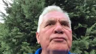 Wayne Olson: Use of Consultants