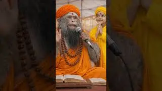 Bandar Baba ke Satsang insano Ke Bare Me🔥 #trending #monkey #aivideo #shorts