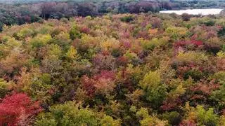 Hamptons Foliage 2021 Part 2- Water Mill NY-Hamptons Drone 4k Footage