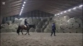 na sprzedaż AMORINA 5 lat po ALCATRAZ od AMORE/ POUR PLAISIR