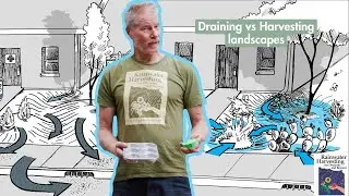 Rainwater Harvesting Basics: A Simple Muffin Tin Metaphor