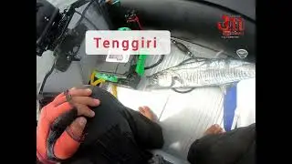 Gaya mutu keungulan.
