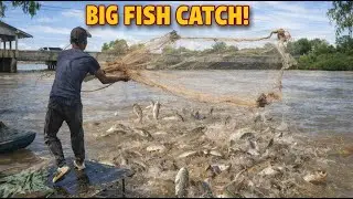 A cast net fishing traditional trap in the village#shorts