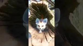 Cutest Fennec Fox EVER?! 😍🦊 | Planet Zoo