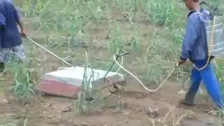 shielded spray