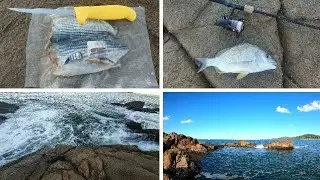 Light line & unweighted BAITS