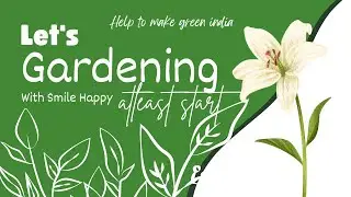 Greenery in Land Gardens: Nature&rsquo;s Gift to Our Planet