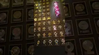 USA.Night Walk Through the Casino.#casino #Florida #shortsvideo #2026viralvideo