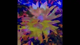 {FREE} Jon Hopkins Type Beat | Mellow Glitched-out Downtempo EDM | 