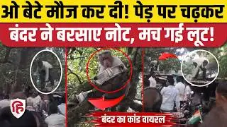 UP Auraiya Monkey Viral Video: बाइक से उड़ाया नोटों का बैग और बंदर ने पेड़ से कर दी नोटों की बारिश!
