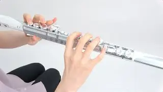 &ldquo;Playing with flute fingering&rdquo; Roland Aerophone Brisa #07