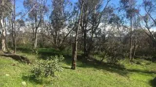 JH Yowie Search Photos