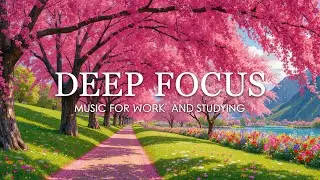 Deep Focus Music for Studying - 3 Hours of Ambient Study Music to Concentrate & Productivity #2