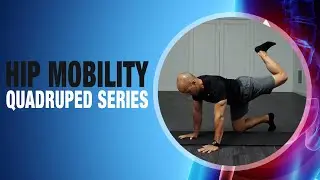 Quadruped Hip Extensions and Exercises | Hip Pain and Mobility Stretches | Manhattan, NYC, Brooklyn