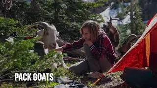 Pack Goats in the Backcountry