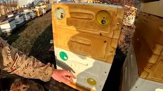 Новый проект