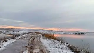 Cloud of birds 🐦 flies over a lake in winter / Туча птиц 🐦 летит над озером зимой ++ #birds