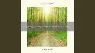 The Frequency Noise And The Joy Of Power For Good Nap