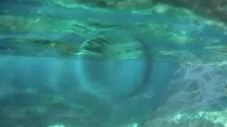 Swimming With The Fishes - Part Six - Burney Falls