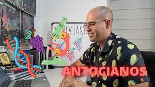 Antocianos