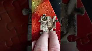 The last piece|cat|oddly satisfying #jigsaw #puzzle #satisfying #jigsawpuzzle #puzzles #cat #shorts