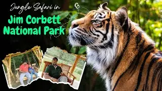 Exploring Jim Corbett National Park & Maa Girija Devi Temple | Hidden Gems of Uttarakhand!
