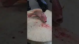 Amazing Giant Red Tilapia Fish Cutting Skills#shorts