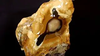 Opal Rough Banded 255 Gr Natural Opal Specimen