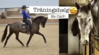 BOOTCAMP i Särö 💪🏽  |  Häng med på träningshelg!   |    STALLVLOGG