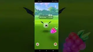 Catch the shiny Woobat in Psychic Spectacular 2022 Event! #Shorts