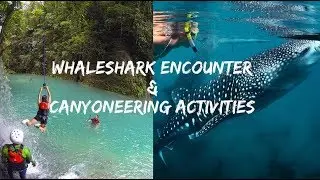 Oslob Whale shark swimming  and Canyoneering Activities Kawasan Falls