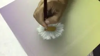 Margaritas- Daisies - How to paint a daisy - Como pintar una margarita