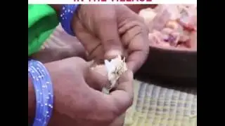 Watermelon chicken.....