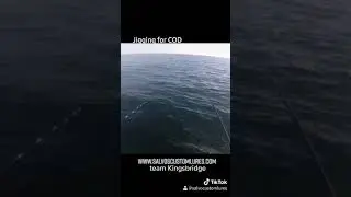 Quick Clip jigging for COD with Team kingbridge NJ